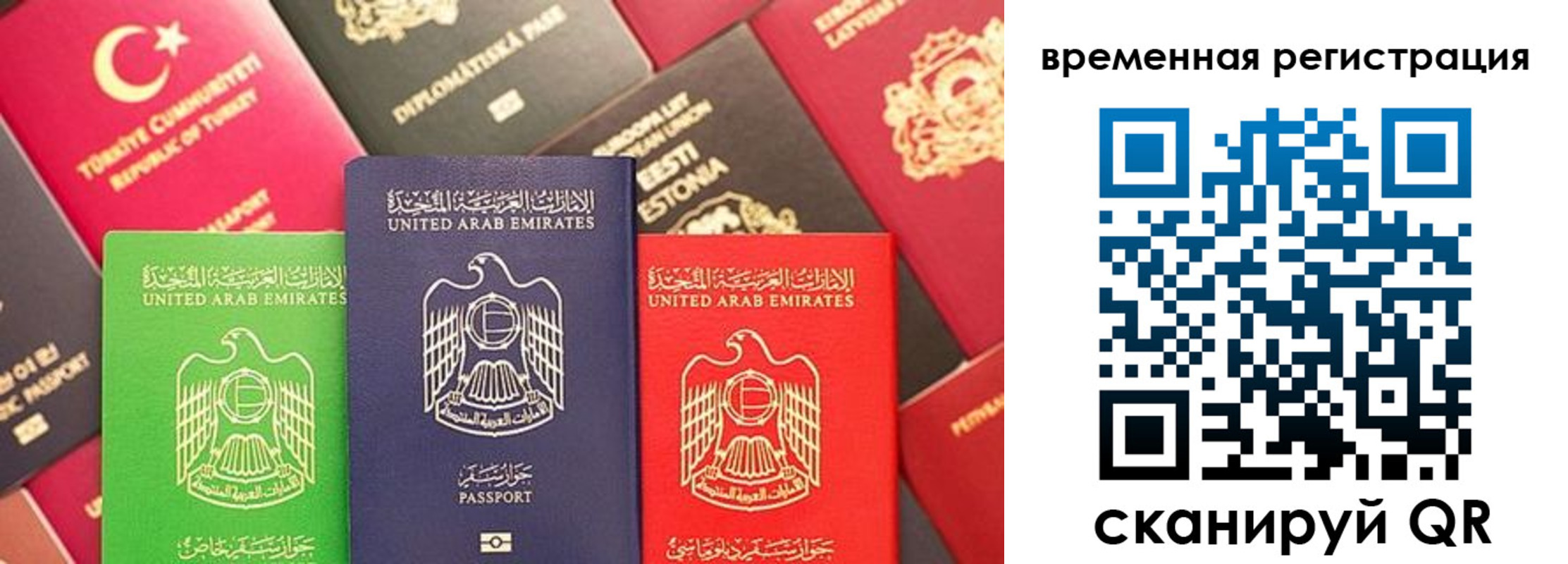 временная регистрация гарантия в Ленинградской области